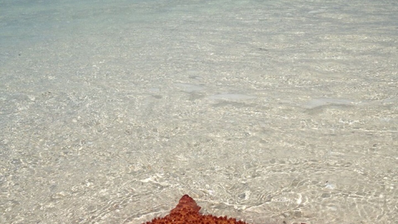 Photo of Others in Grace Bay