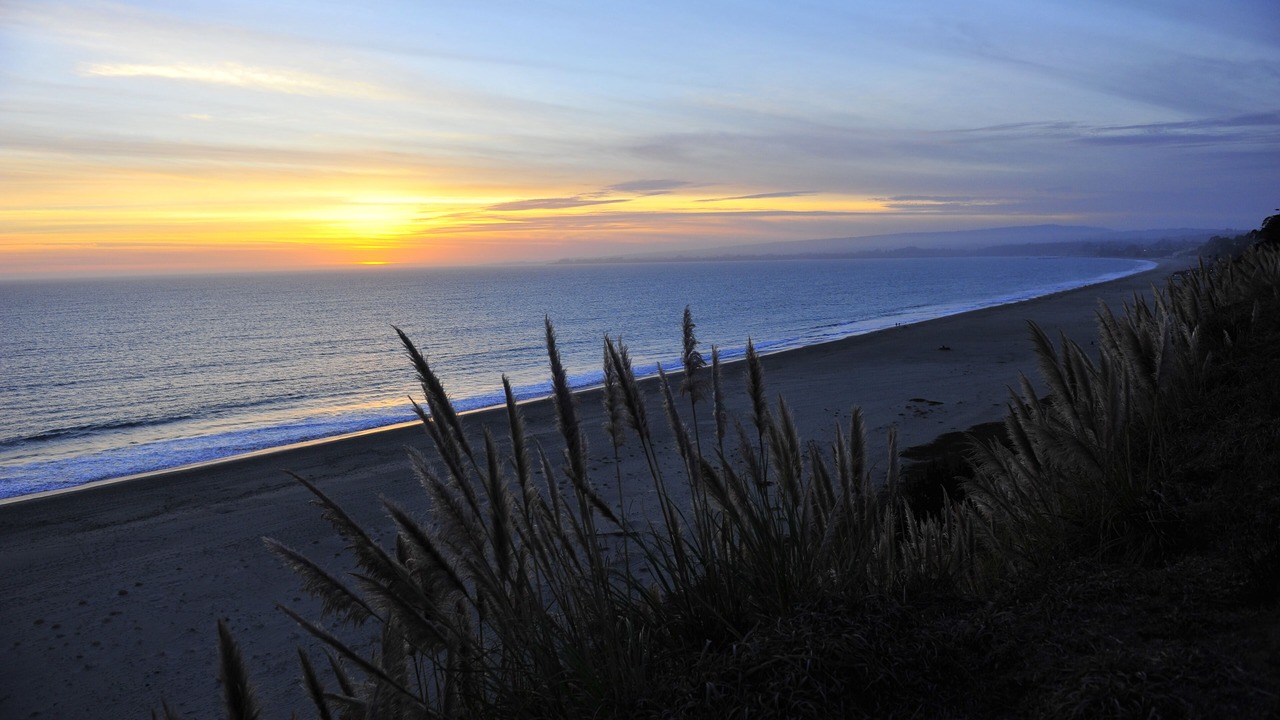 Photo of Others in Rio del Mar