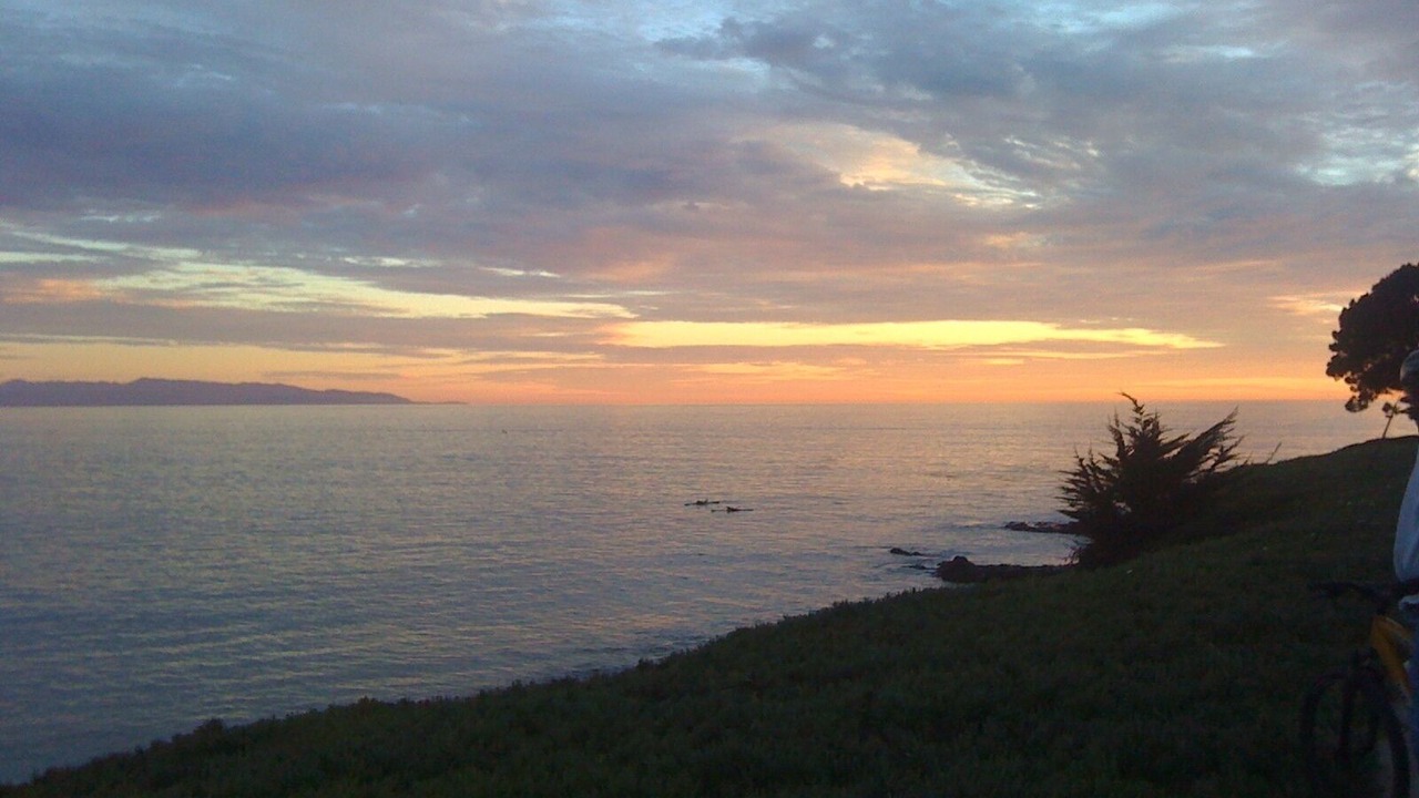 Photo of Others in Santa Cruz