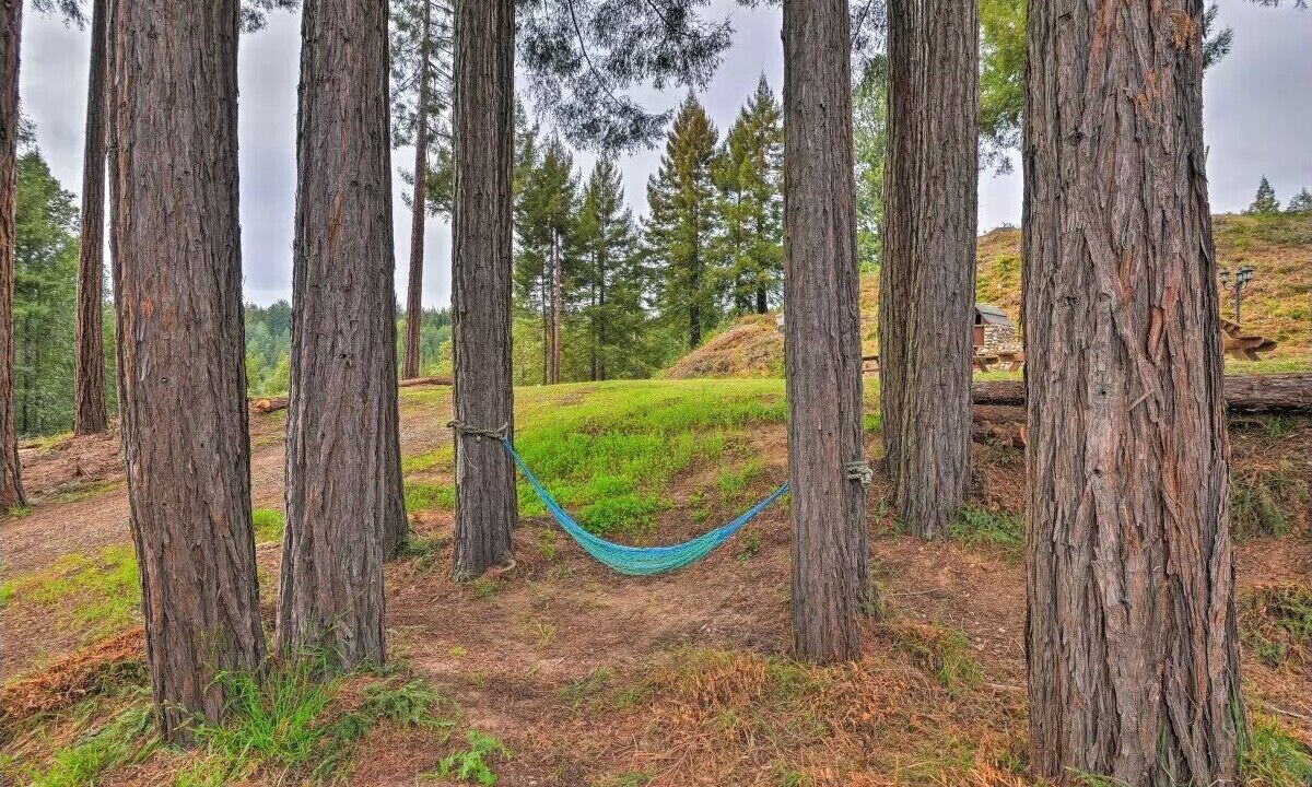 Photo of Others in Santa Cruz