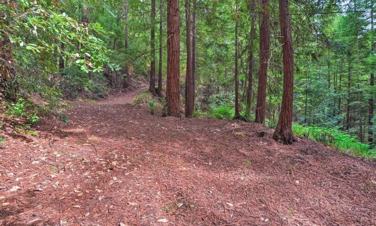 Photo of Outdoor in Santa Cruz