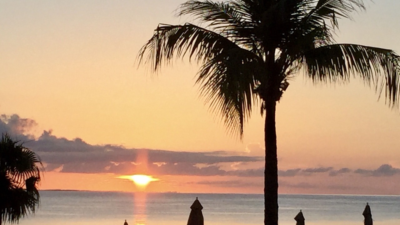 Photo of Others in Grace Bay