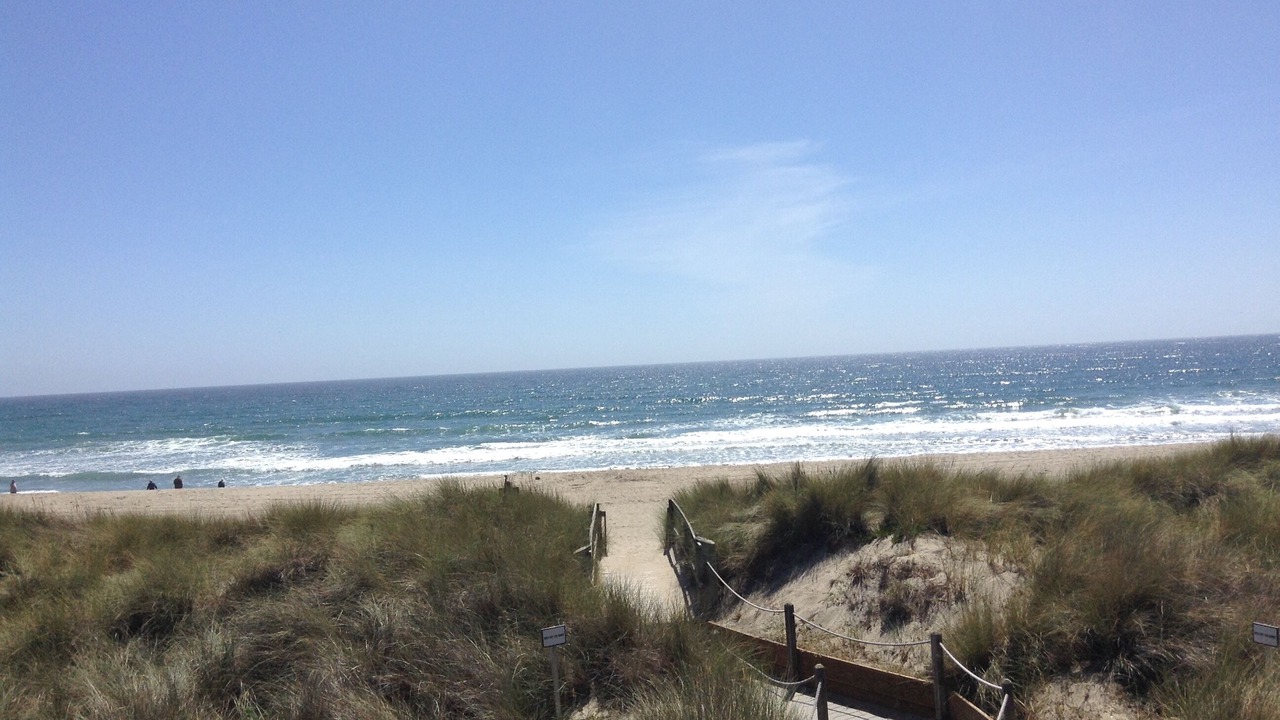 Photo of Others in Pajaro Dunes