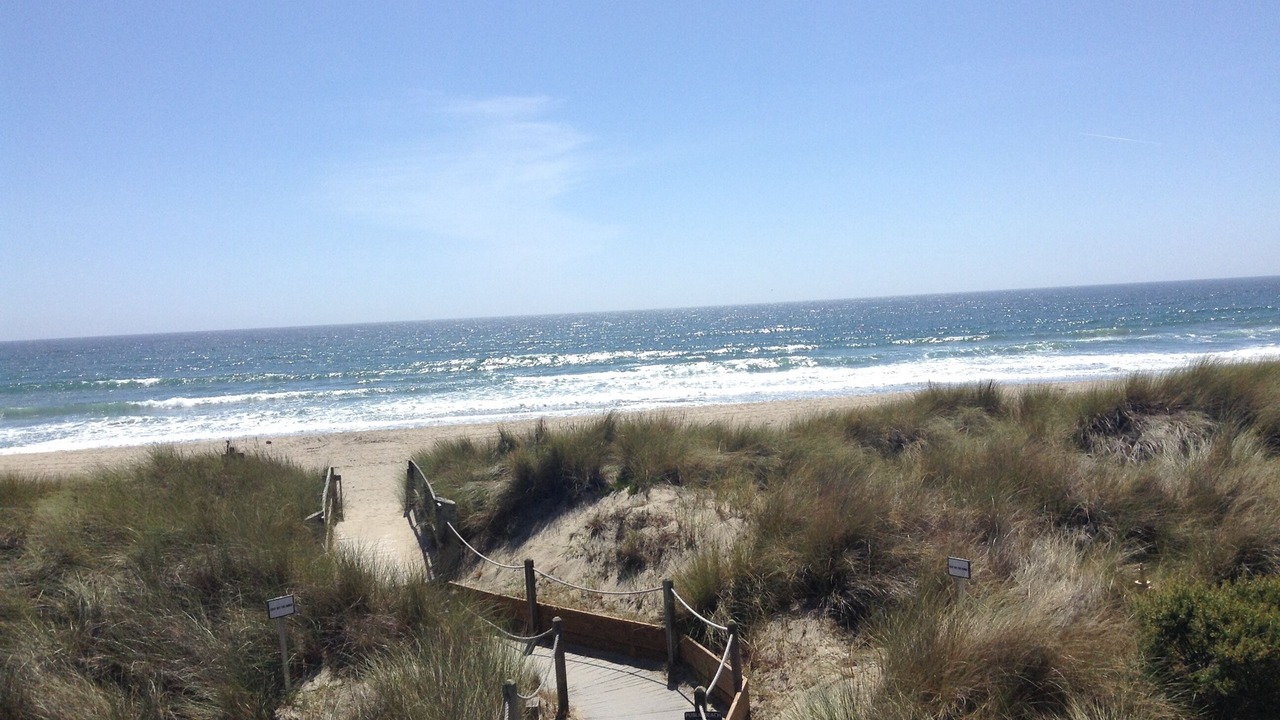 Photo of Others in Pajaro Dunes