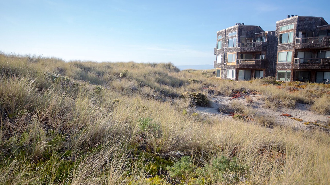 Photo of Outdoor in Pajaro Dunes