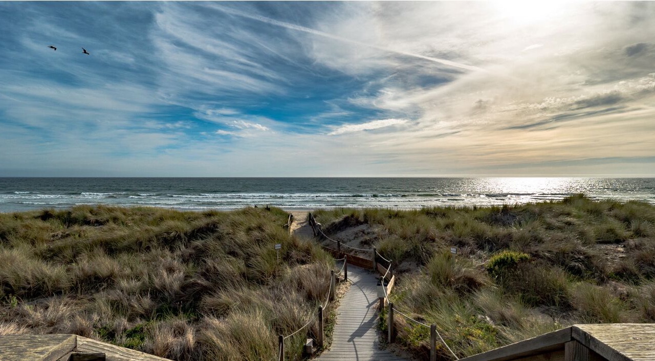 Photo of Others in Pajaro Dunes