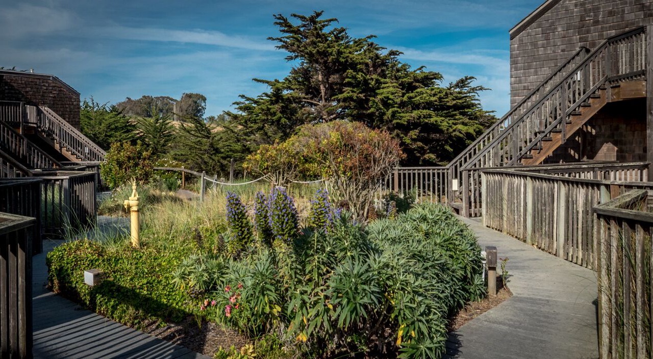 Photo of Outdoor in Pajaro Dunes