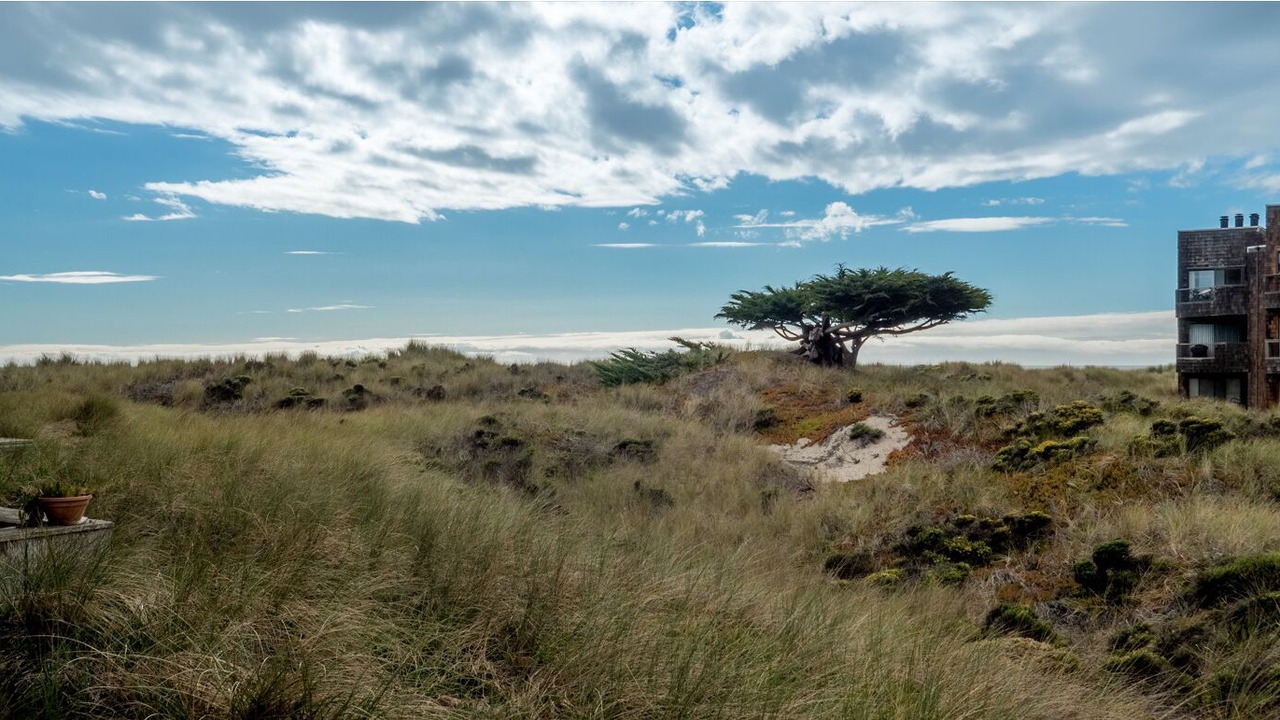 Photo of Others in Pajaro Dunes