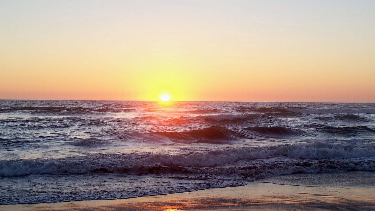 Photo of Others in Pajaro Dunes