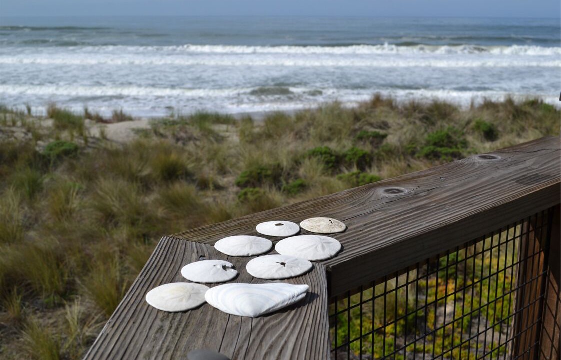 Photo of Outdoor in Pajaro Dunes