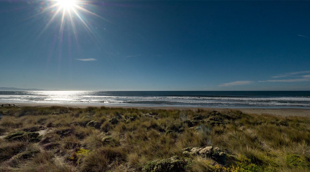 Photo of Others in Pajaro Dunes