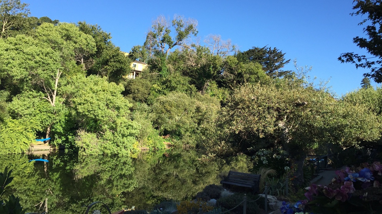 Photo of Outdoor in Capitola