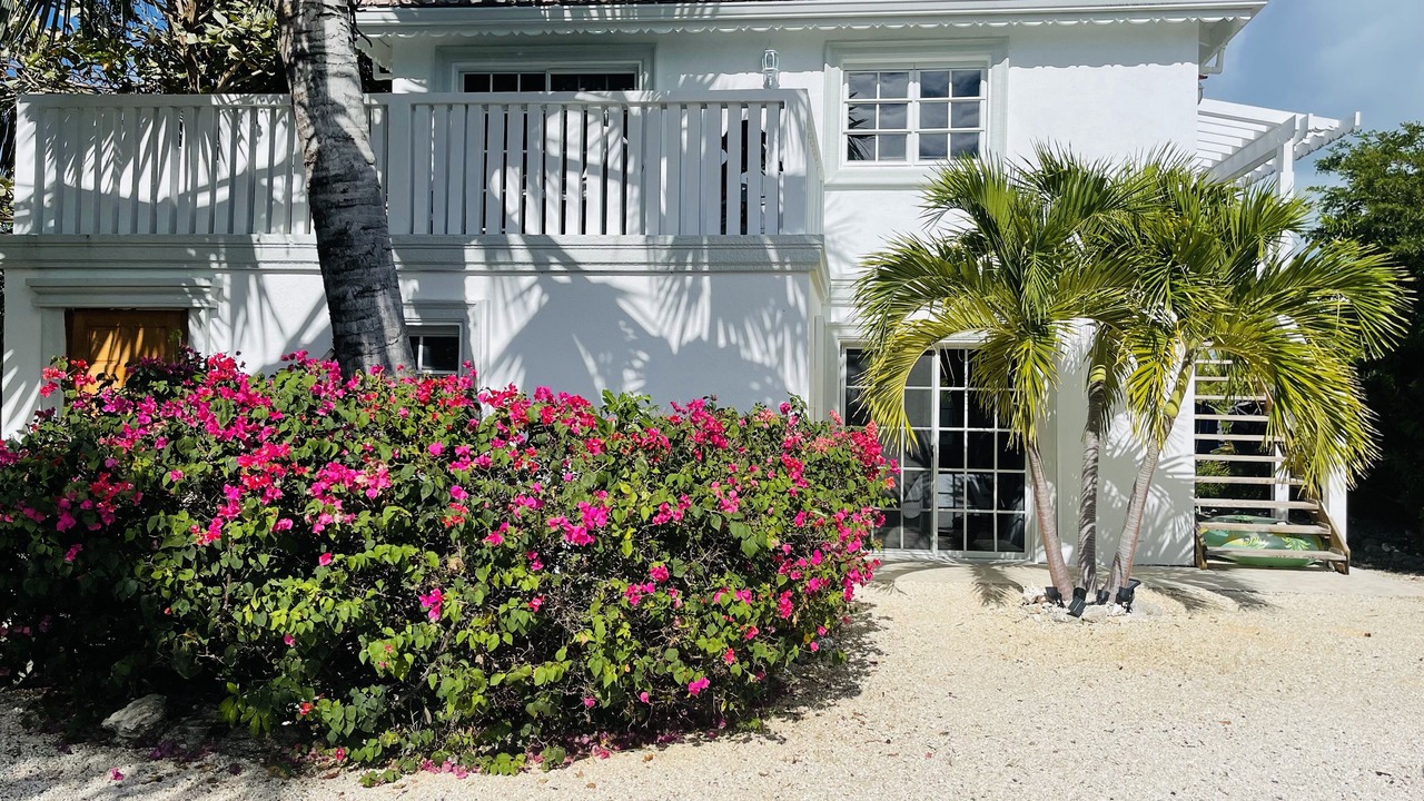 Photo of Outdoor in Discovery Bay