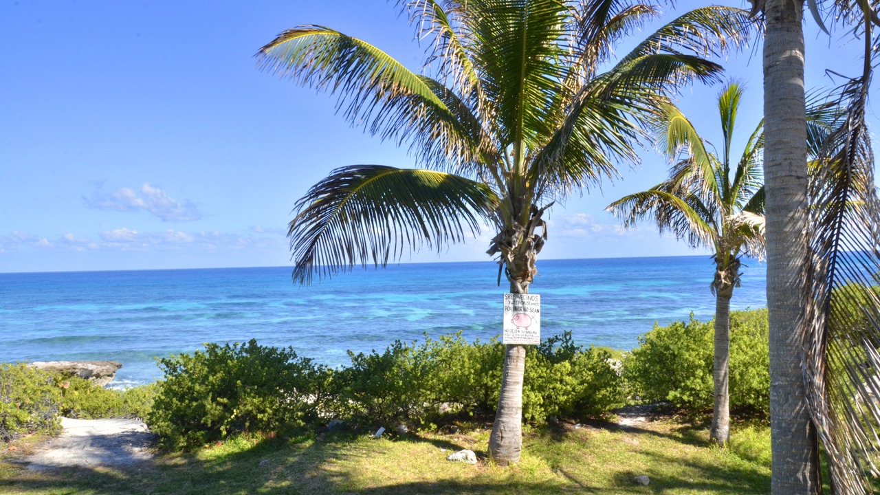 Photo of Others in Salina Grande