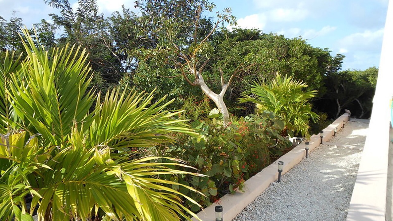 Photo of Others in Leeward Settlement