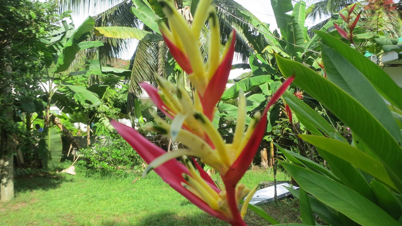 Photo of Outdoor in Praslin Island