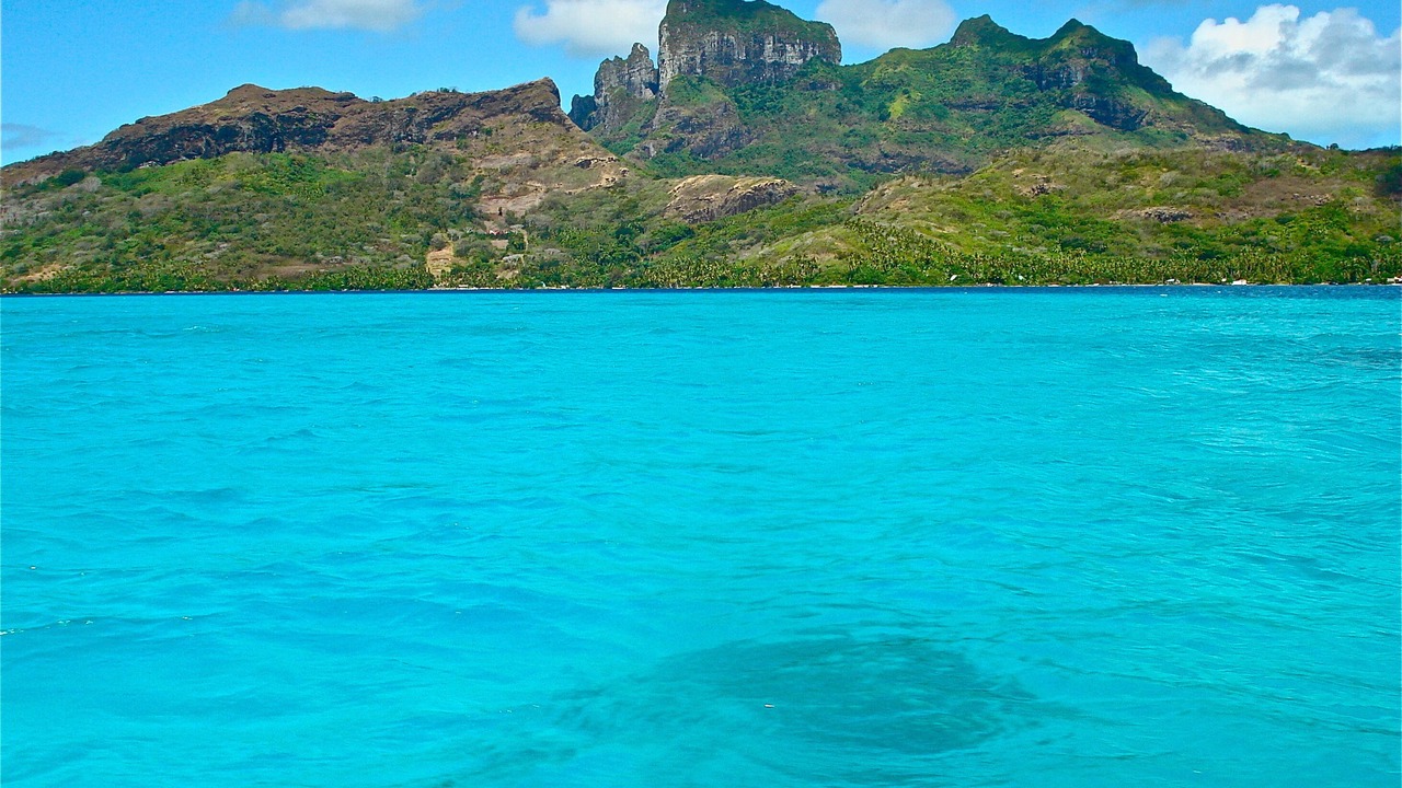 Photo of Others in Bora Bora