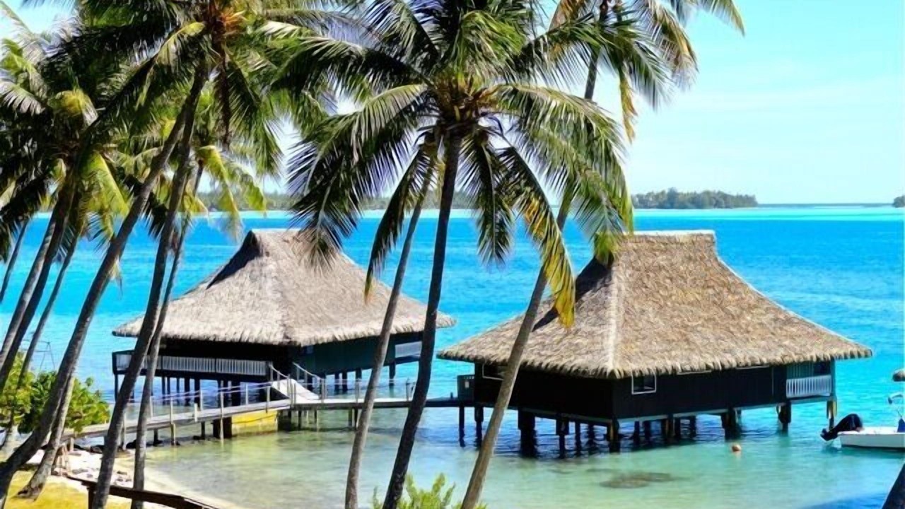 Photo of Others in Bora Bora