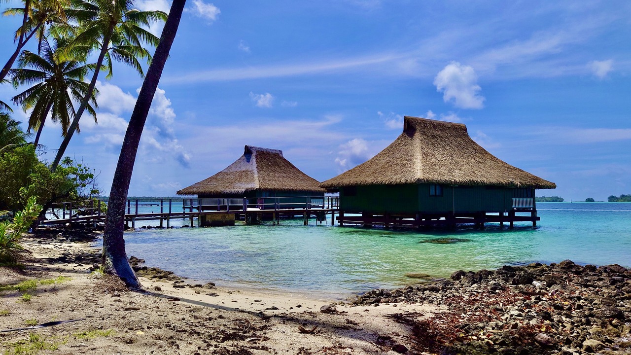 Photo of Others in Bora Bora