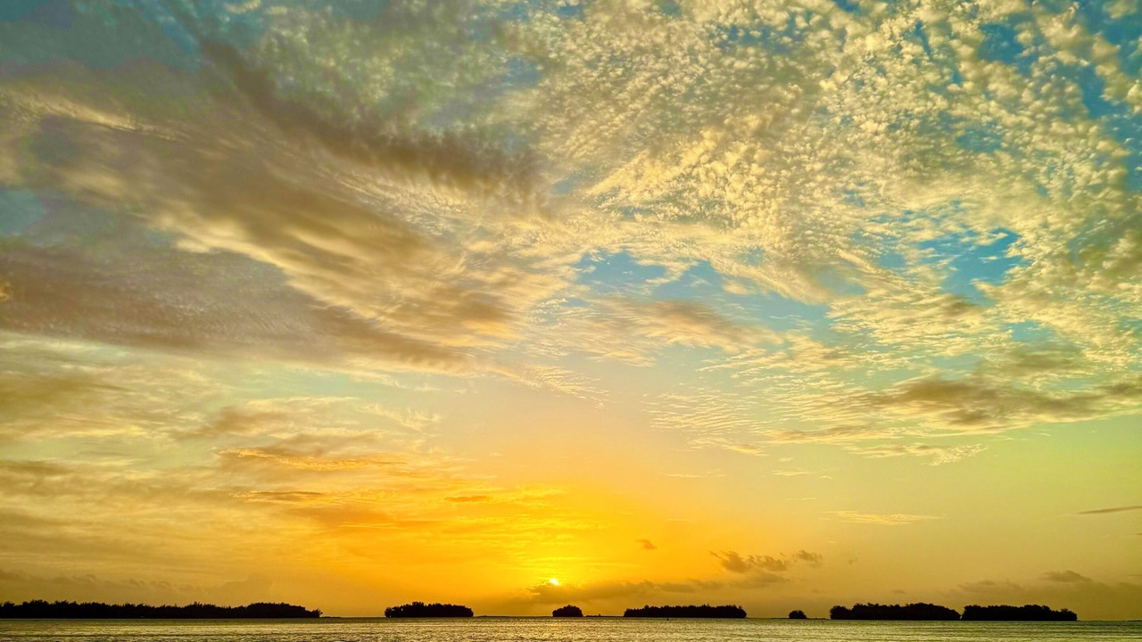 Photo of Others in Bora Bora