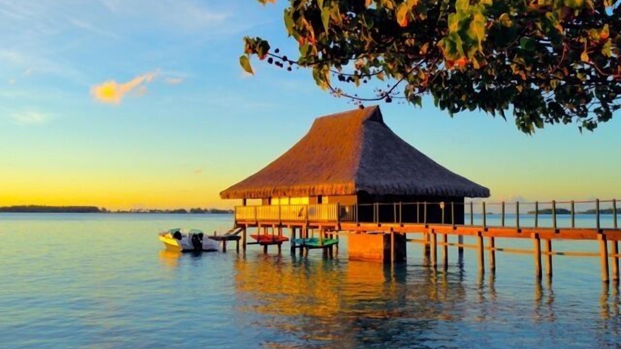 Photo of Others in Bora Bora