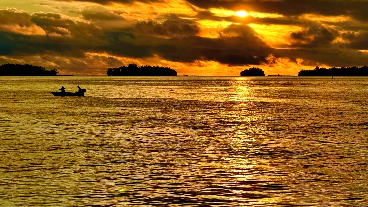 Photo of Others in Bora Bora