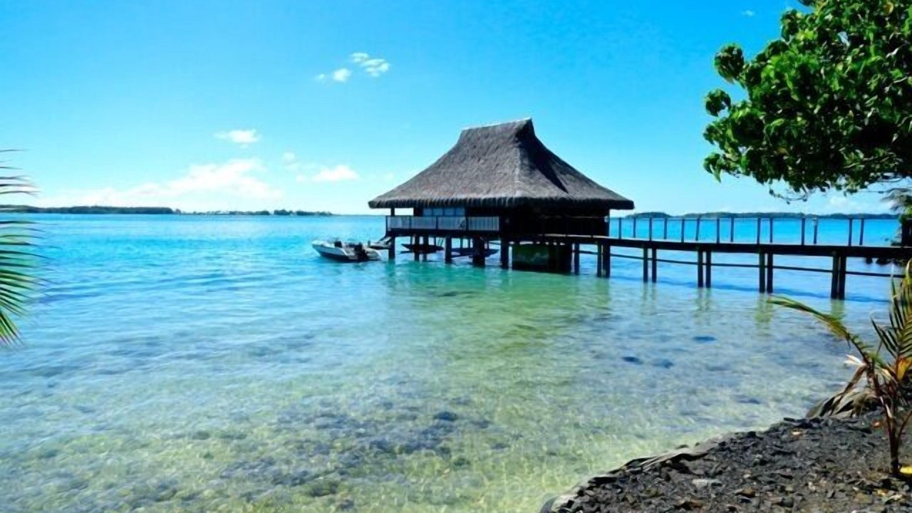 Photo of Others in Bora Bora