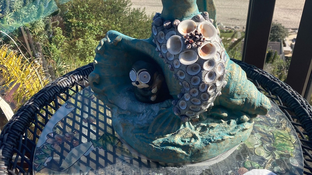 Photo of Others in Aptos