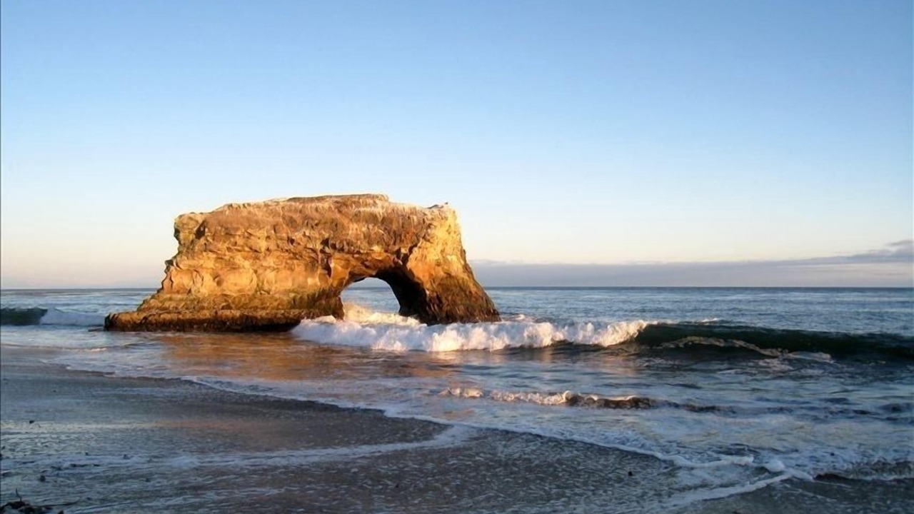 Photo of Others in Westside Santa Cruz