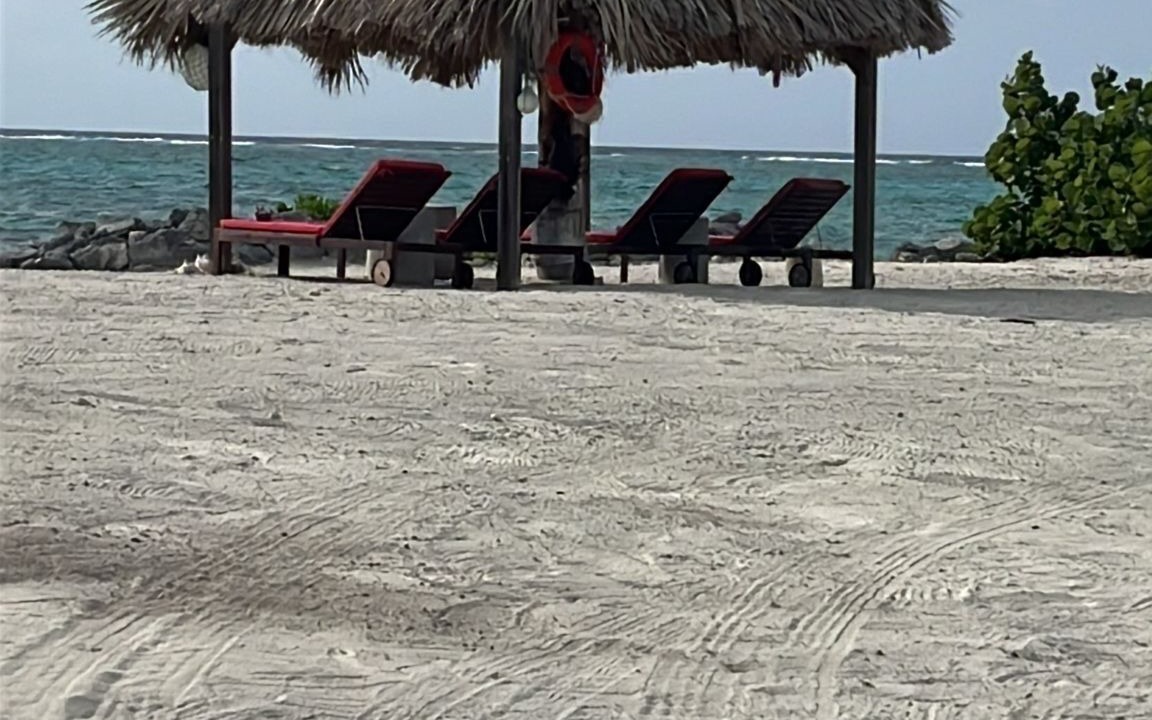 Photo of Others in Sandy Point