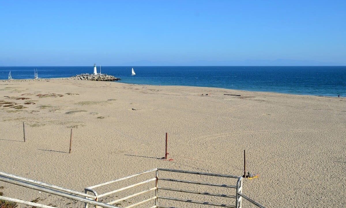 Photo of Others in Seabright