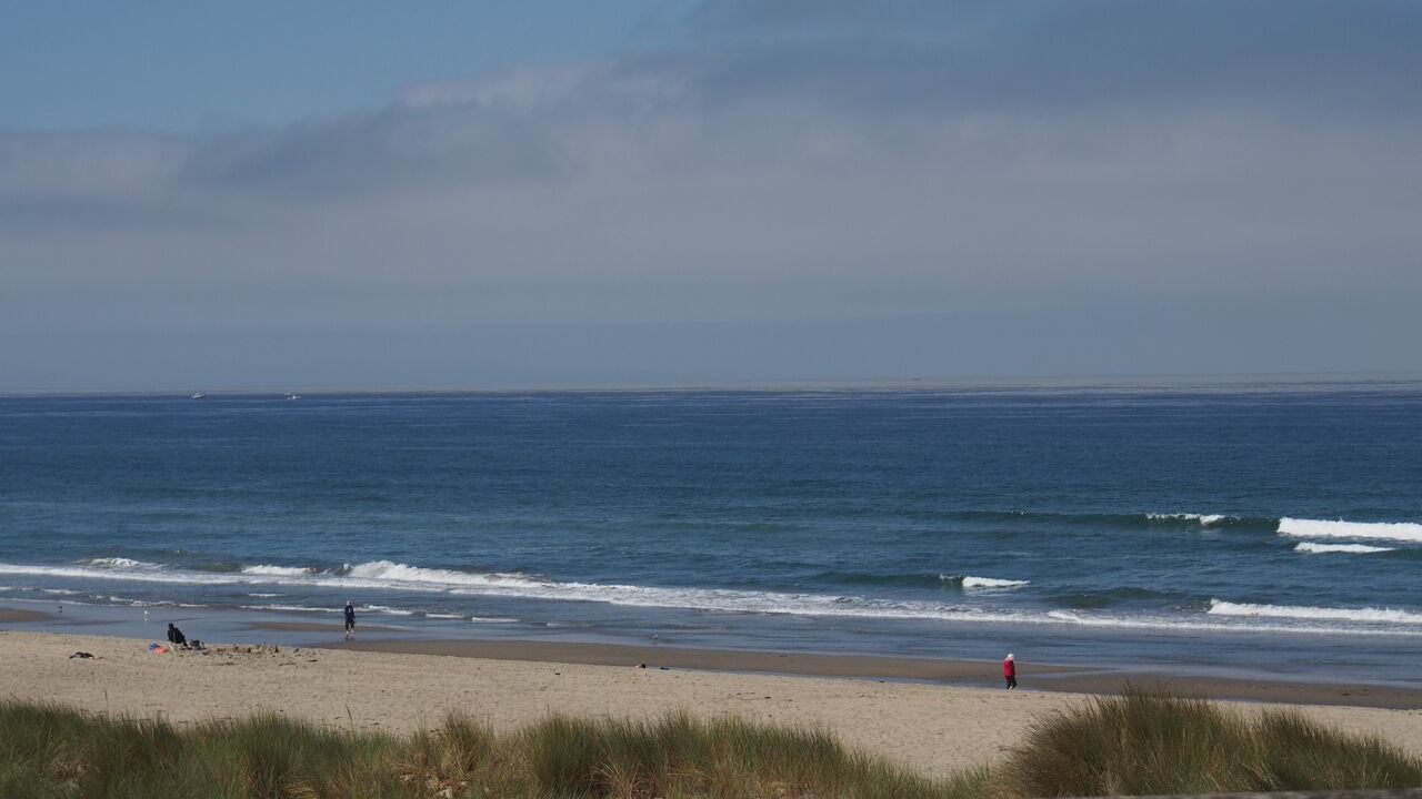 Photo of Others in Pajaro Dunes