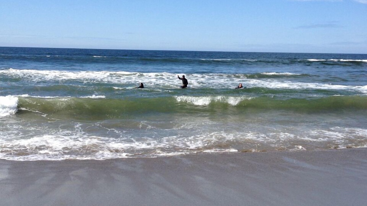 Photo of Others in Pajaro Dunes