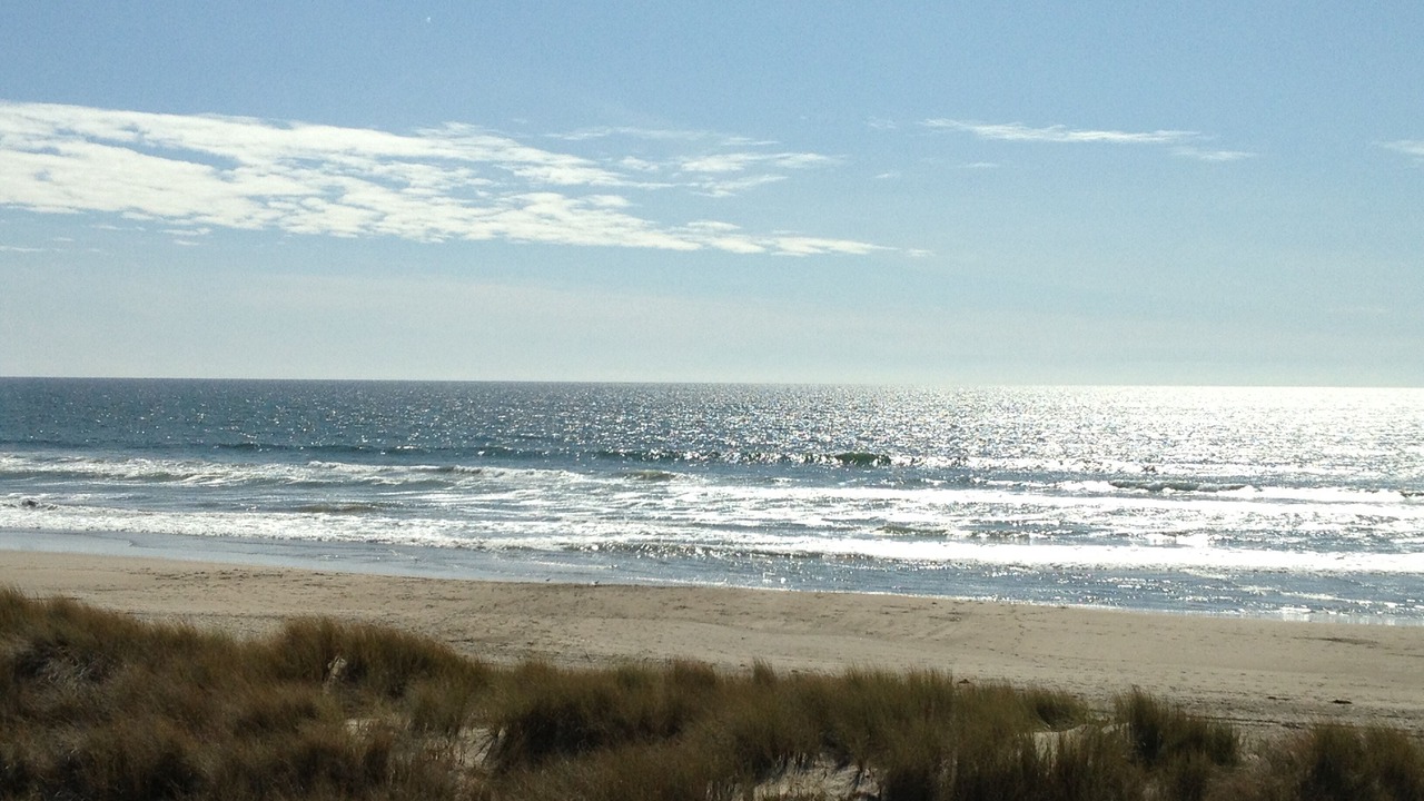 Photo of Bedroom in Pajaro Dunes