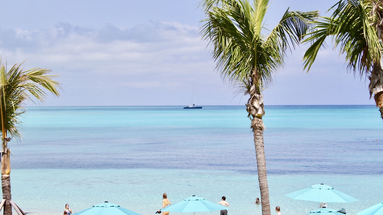 Photo of Others in The Bight