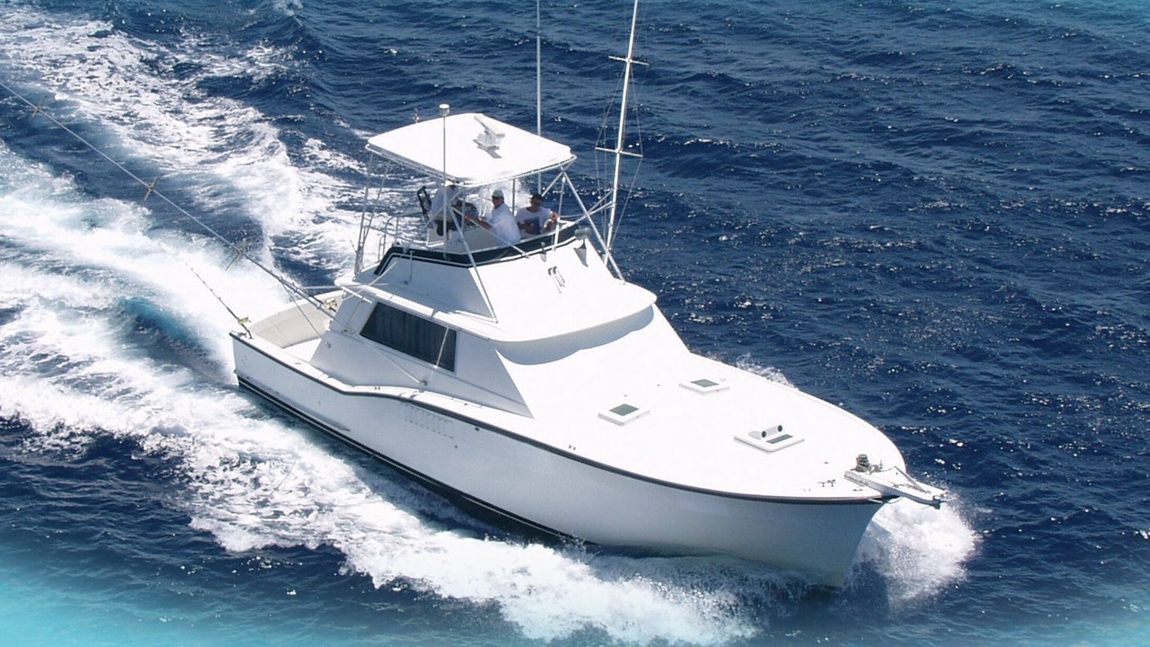 Photo of Others in The Bight