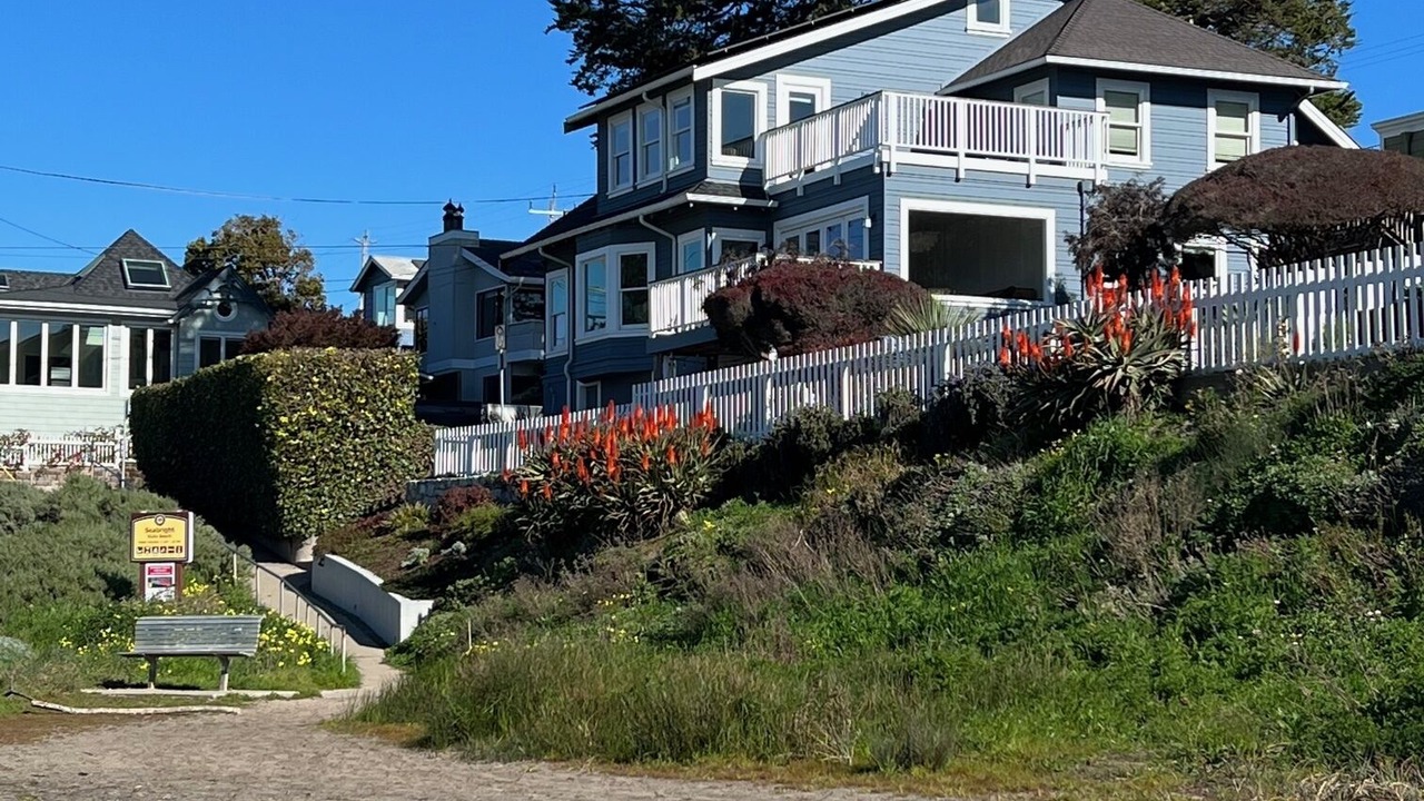 Photo of Others in Seabright