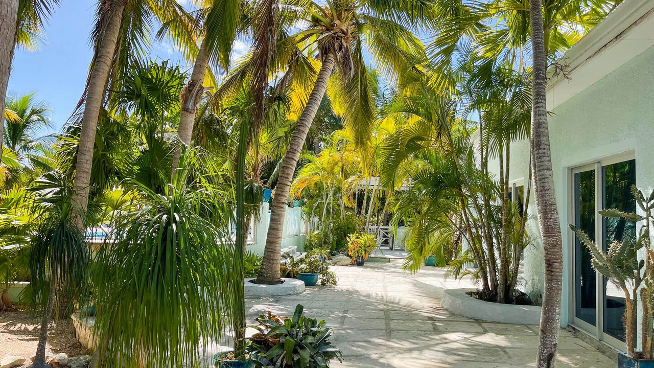 Photo of Outdoor in Leeward Settlement