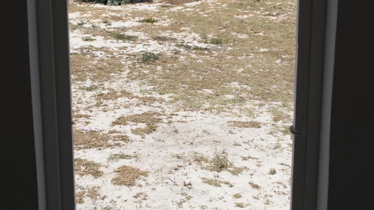 Photo of Others in Cockburn Town