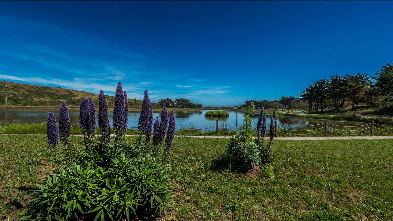 Photo of Outdoor in Pajaro Dunes