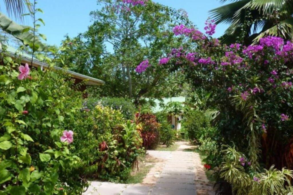 Photo of Outdoor in La Digue