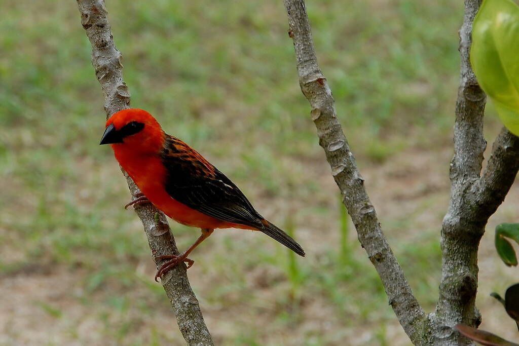 Photo of Outdoor in La Digue