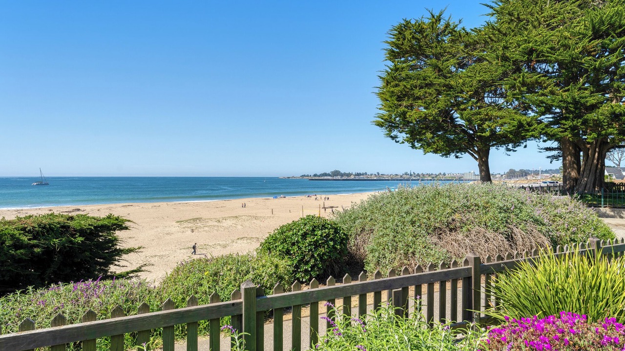 Photo of Outdoor in Seabright