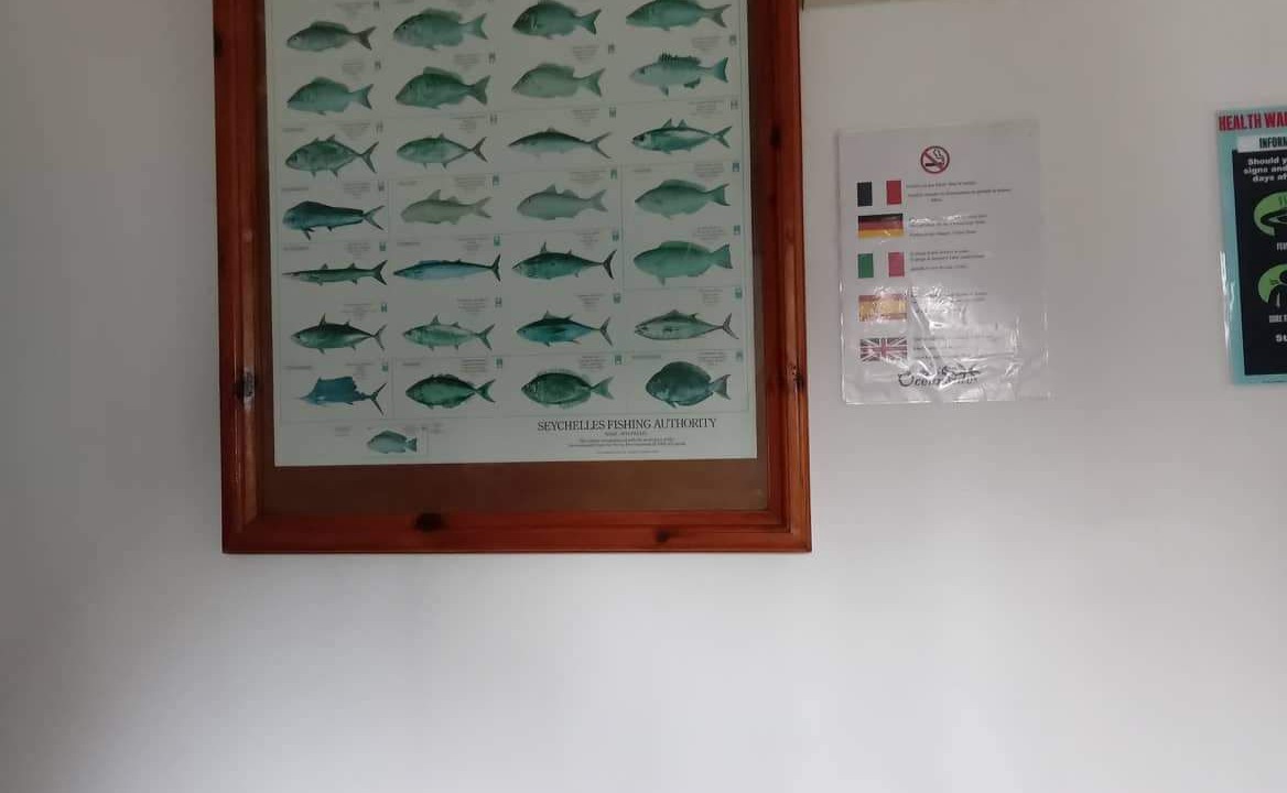 Photo of Others in Anse Boileau