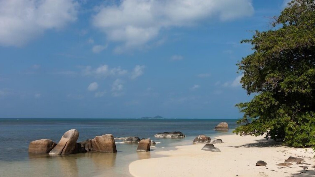 Photo of Others in Praslin Island