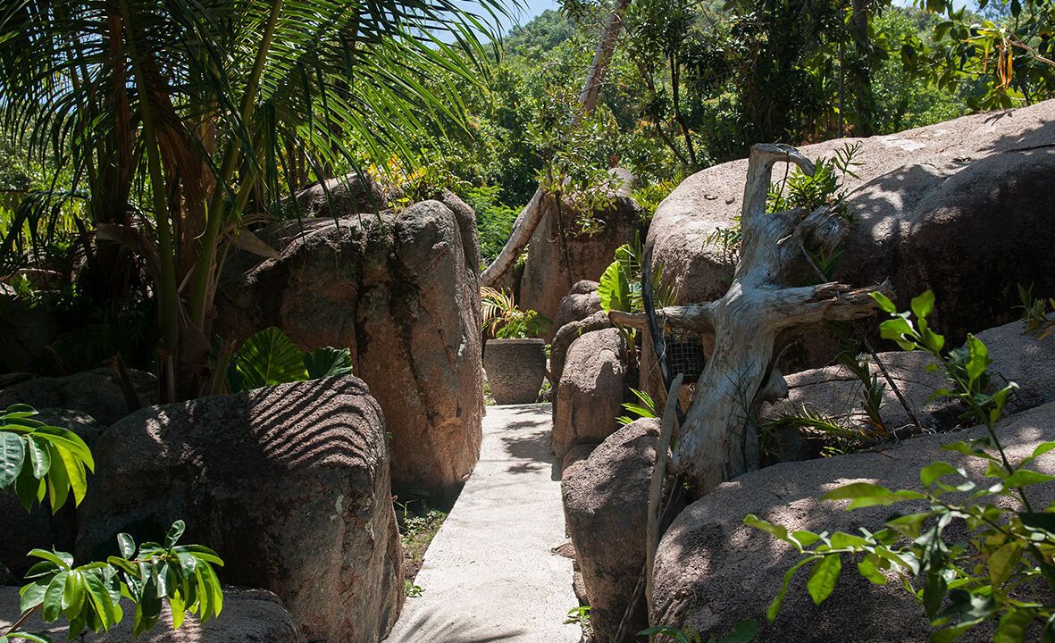 Photo of Outdoor in Praslin Island