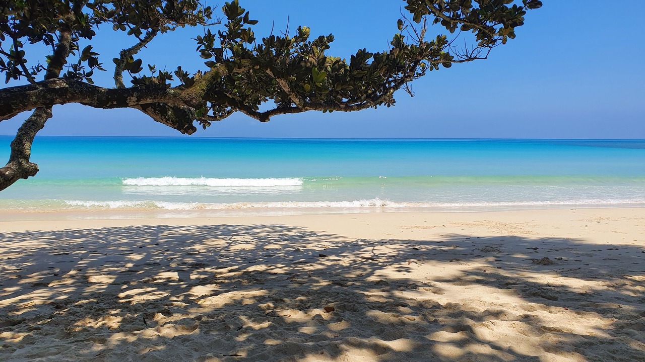 Photo of Others in Beau Vallon