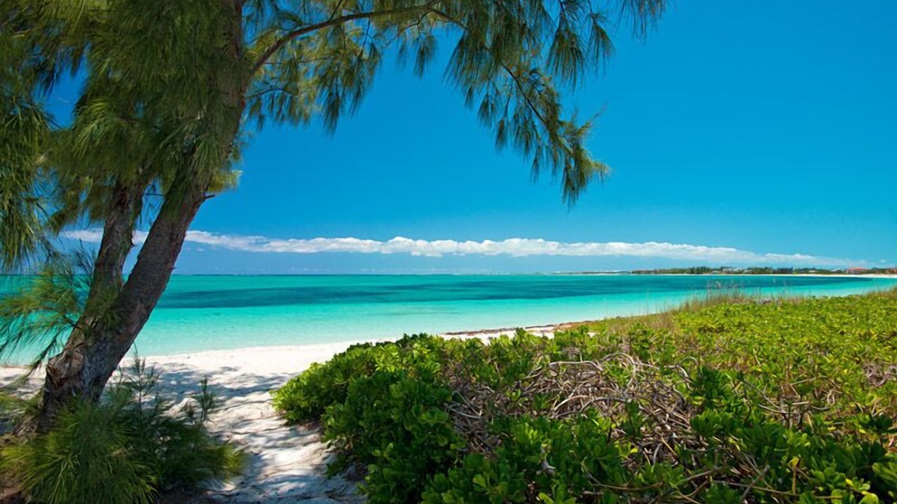 Photo of Others in Grace Bay West