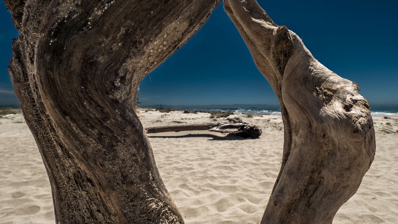 Photo of Others in Pajaro Dunes