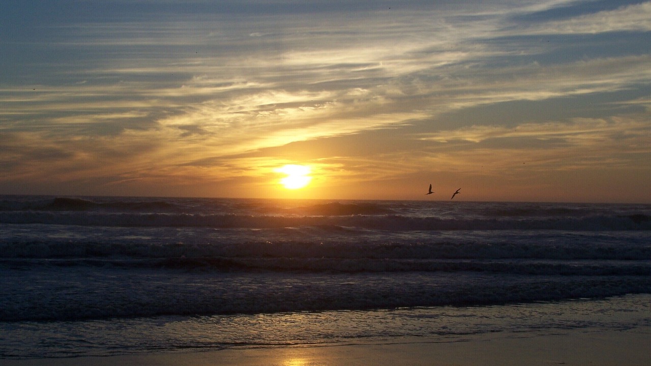 Photo of Others in Pajaro Dunes